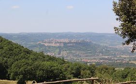 Agriturismo Fattoria Poggio Boalaio